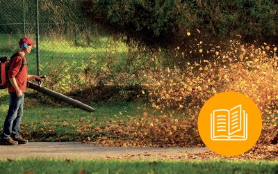 Nouvelle saison ! L’automne… c’est quoi ?