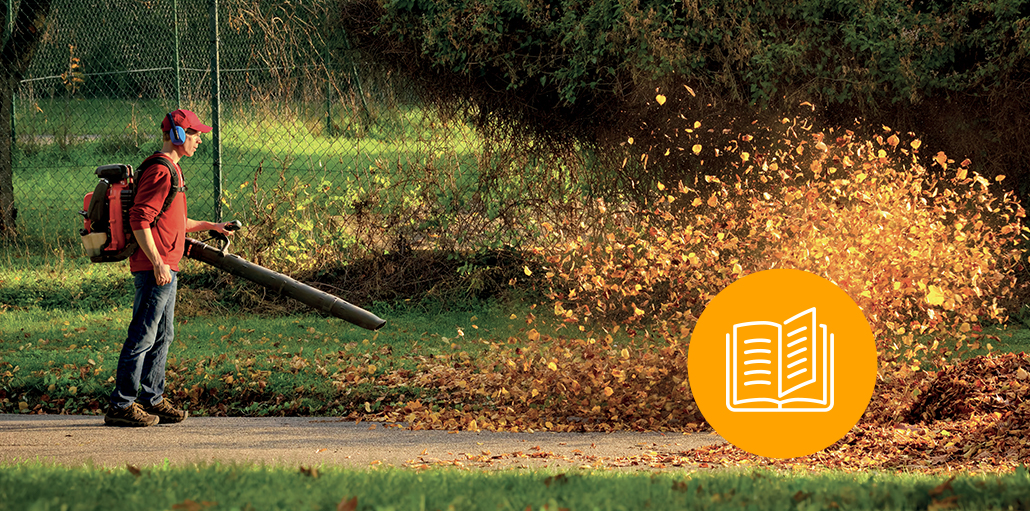 Nouvelle saison ! L’automne… c’est quoi ?