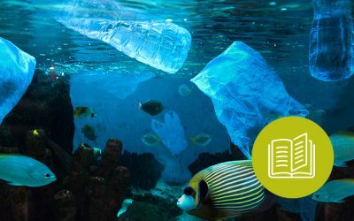 Pourquoi la destruction de l’environnement et la pandémie en cours sont liées ?