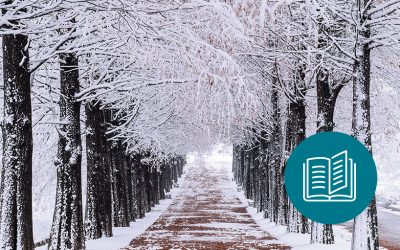 Le froid & ses effets sur le corps : Partie 2