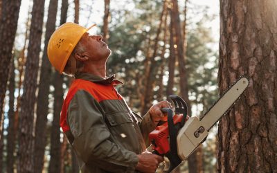 Le travail en extérieur – Composer avec les saisons