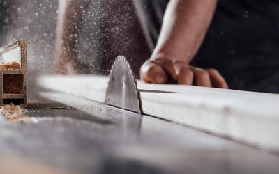 Reconversion, à la recherche d’un métier utile : Interview d’apprentis dans l’artisanat