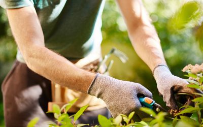 Prendre soin de soi : profiter des bienfaits de notre environnement naturel